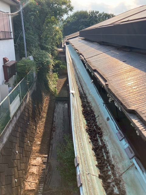 雨樋点検の様子